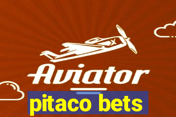 pitaco bets